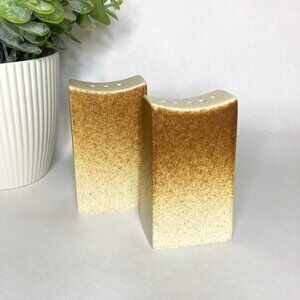 Salt and Pepper Shakers with Gradient Design Made in Japan